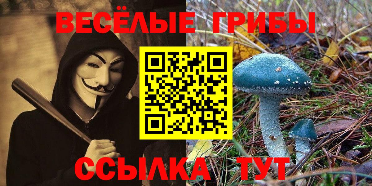 Псилоцибиновые грибы мухоморы  Псилоцибиновые грибы Cubensis  Нефтекамск  хочу   Вход с VPN 